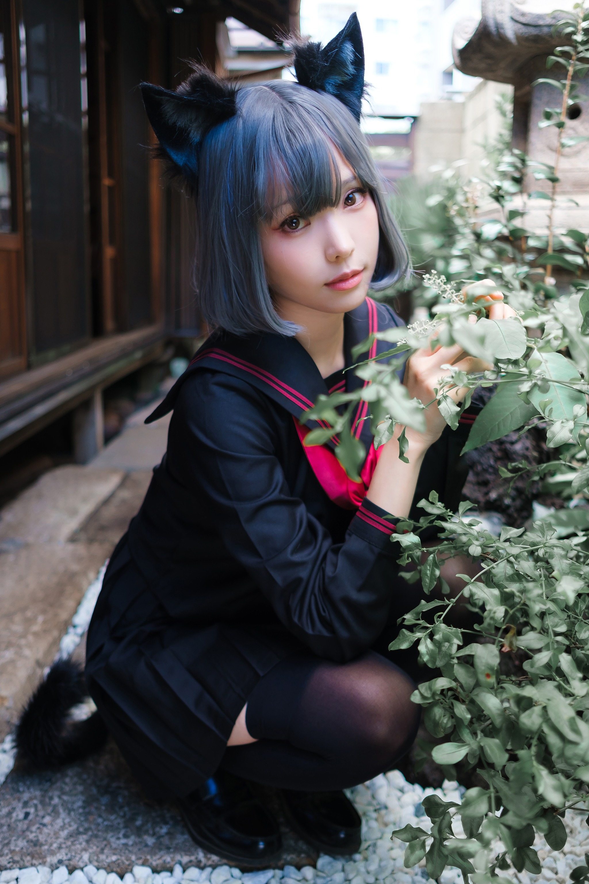 ElyEE子 - NO.169 Veranda Black Cat緣廊黑貓 [37P2V]-XikXak